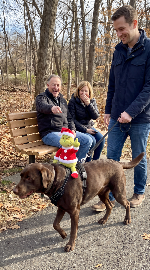 Chocolate labrador walking with its owner in a park, wearing the NaughtyPaws harness with a grumpy plush rider while a couple on a bench laughs