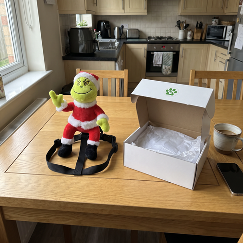 NaughtyPaws dog harness with smiling plush rider in a Santa suit, next to its open gift box